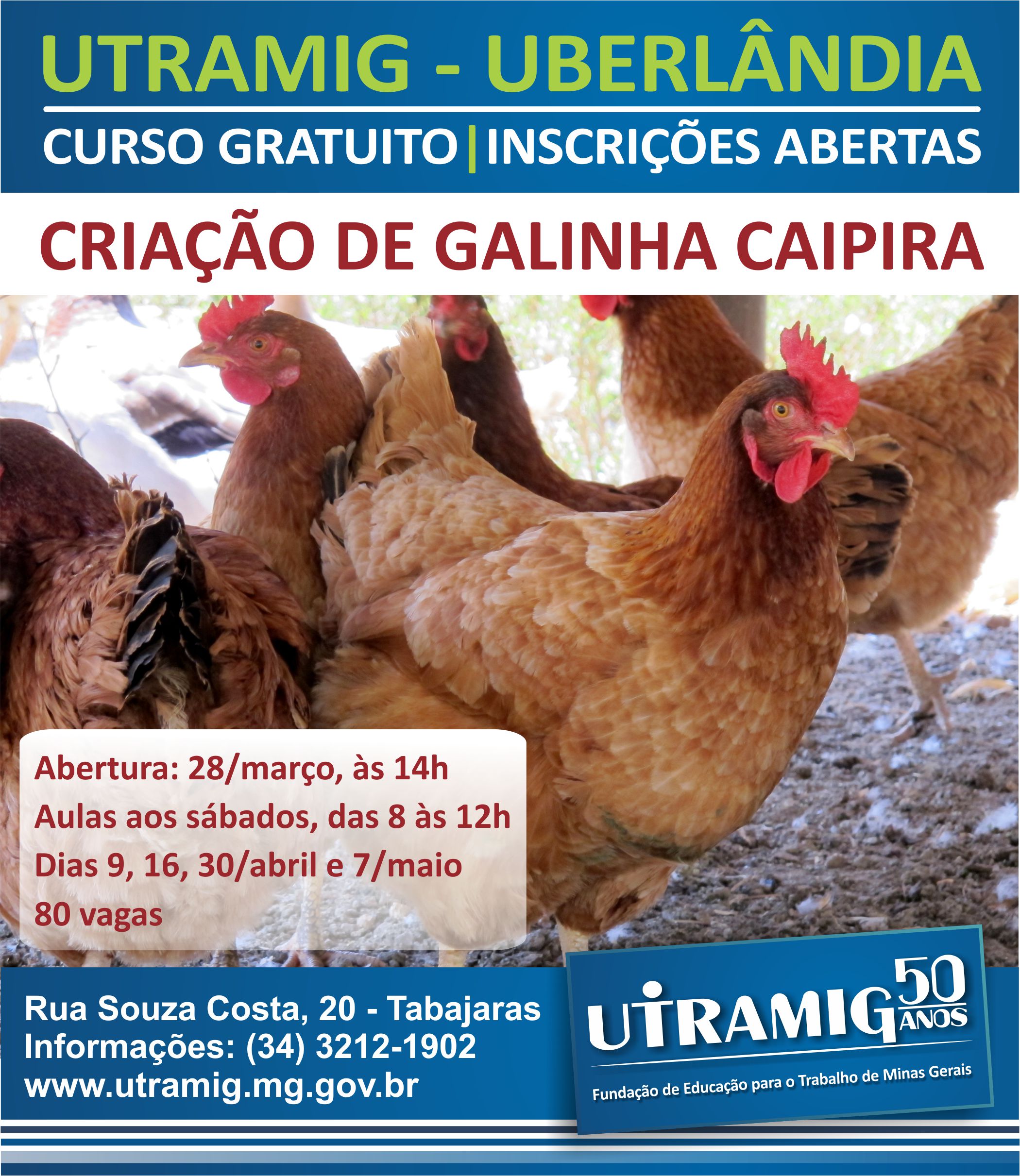 Curso Criacao De Galinhas Uberlandia Marco Abril